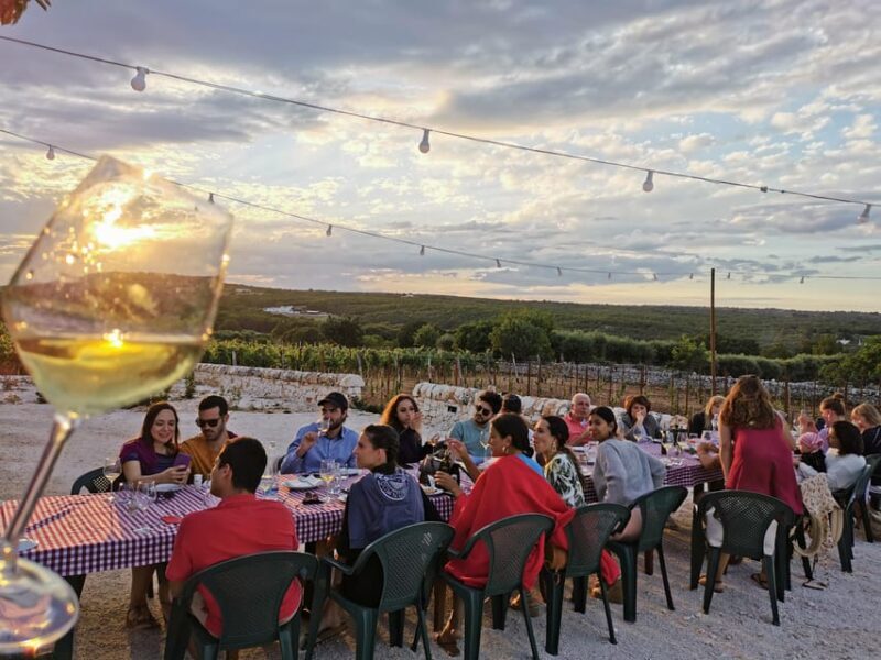 Apulia: Guided Wine Tasting with Local Appetizers - The Itinerary: What to Expect During Your Apulian Wine Tasting