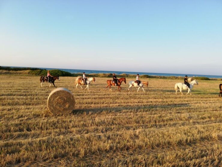 Apulia: Horseback Riding Trip in Parco Dune Costiere - Good To Know