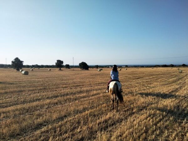 Apulia: Horseback Riding Trip in Parco Dune Costiere - The Sum Up