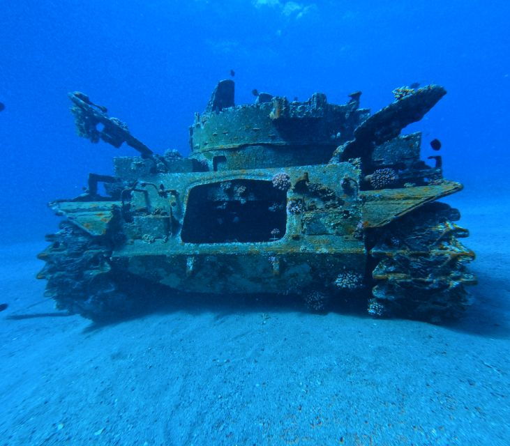 Aqaba: Private Introductory Red Sea Dive From the Shore - Reserve Now & Pay Later Option