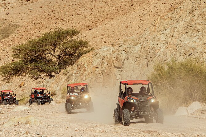 Aqaba UTV Quad Tour - Good To Know