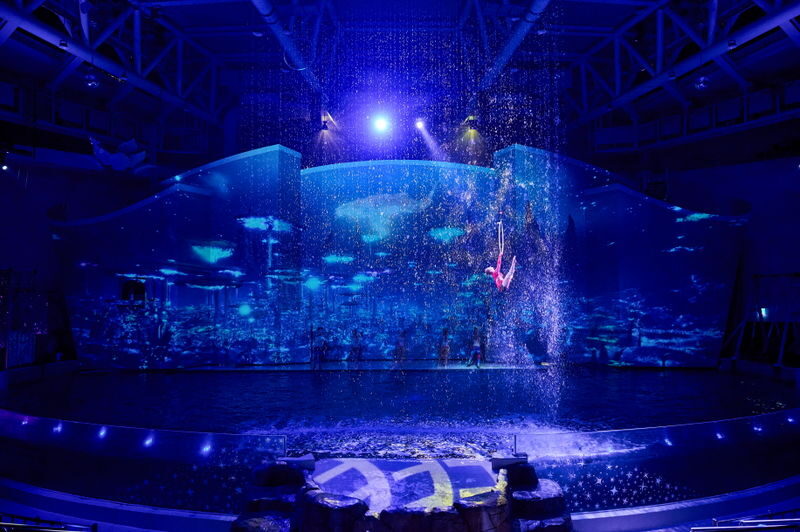 Aqua Planet Jeju Ticket [Foreigners Only] - Key points to know