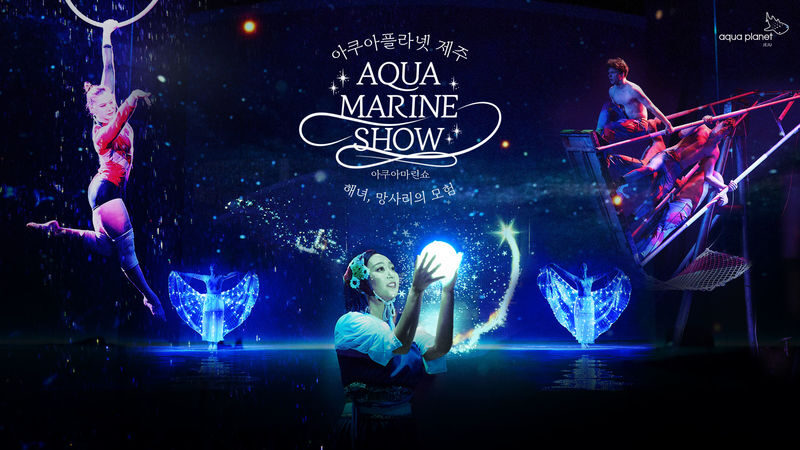 Aqua Planet Jeju Ticket [Foreigners Only] - Inside Aqua Planet Jeju, start with the marine life
