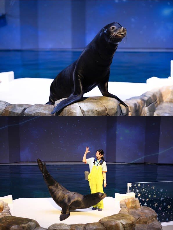 Aqua Planet Jeju Ticket [Foreigners Only] - Set aside two to three hours, and don’t rush the visit