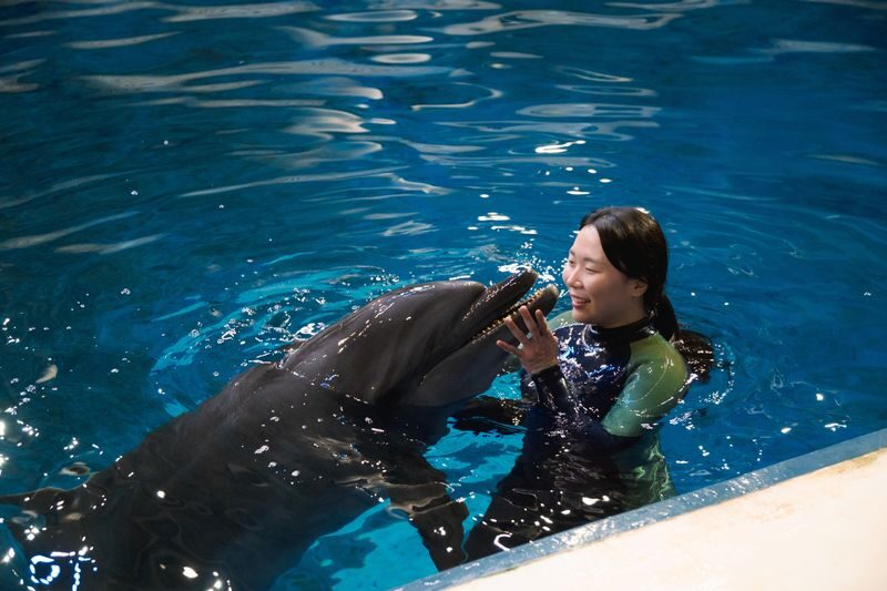 Aqua Planet Jeju Ticket [Foreigners Only] - Getting there takes planning