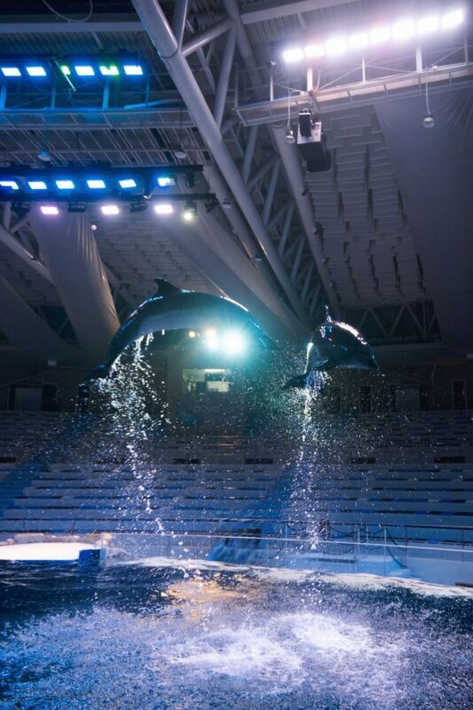 Aqua Planet Jeju Ticket [Foreigners Only] - Choose the ticket carefully