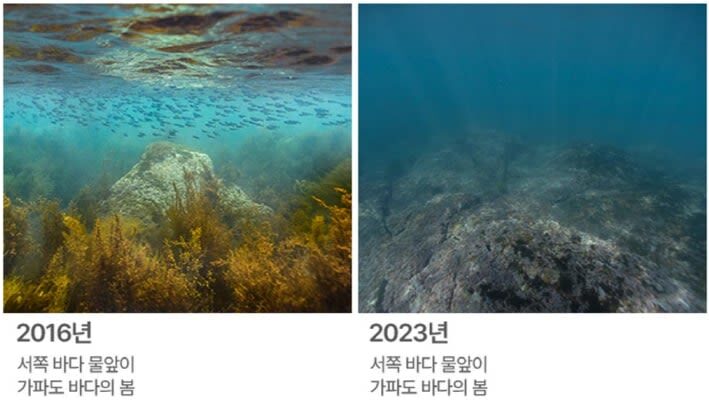 Aqua Planet Jeju Ticket [Foreigners Only] - Who will get the most from Aqua Planet Jeju?