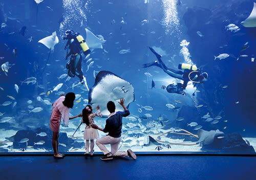 Aqua Planet Ticket in Ilsan - At a glance