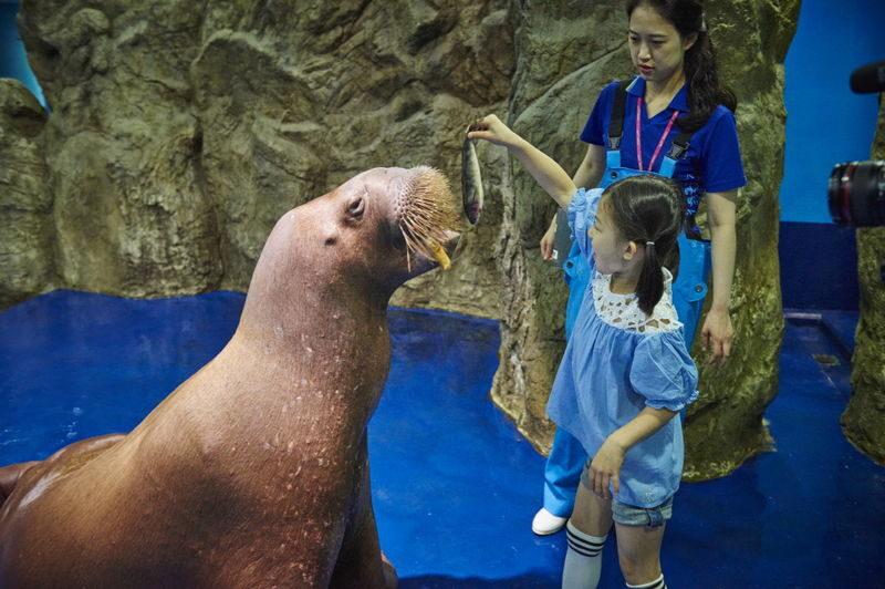 Aqua Planet Ticket in Ilsan - Check the show board before you settle in