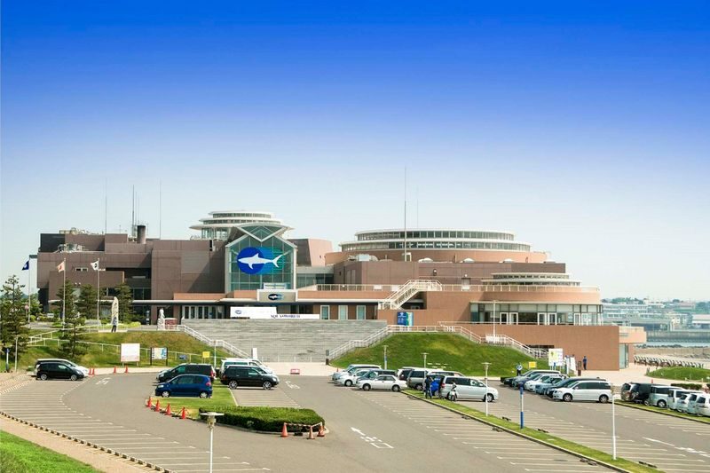 Aqua World Ibaraki Prefectural Oarai Aquarium Ticket - Watch for seasonal crowds and choose your arrival time wisely