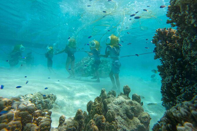 Aquablue Moorea - Who Will Love This Tour?