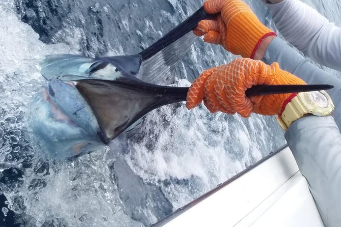 AquaQuepos Sport Fishing, Full Day Offshore Fishing - Fishing Excursion Highlights