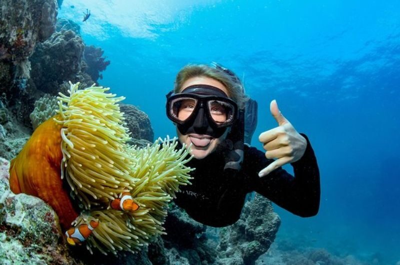 AquaQuest Day Trip to the Outer Reef - Lunch and boat comforts between sessions