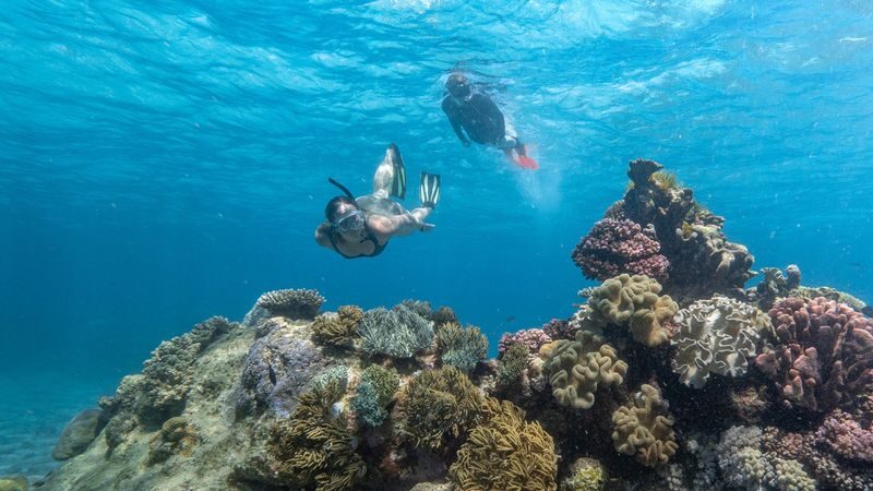 AquaQuest Day Trip to the Outer Reef - What can affect your reef day