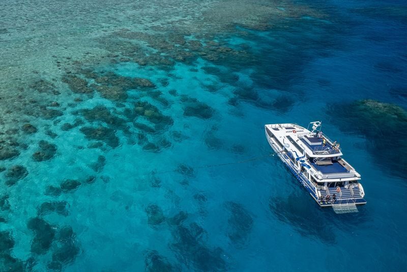 AquaQuest Day Trip to the Outer Reef - Who should book AquaQuest?