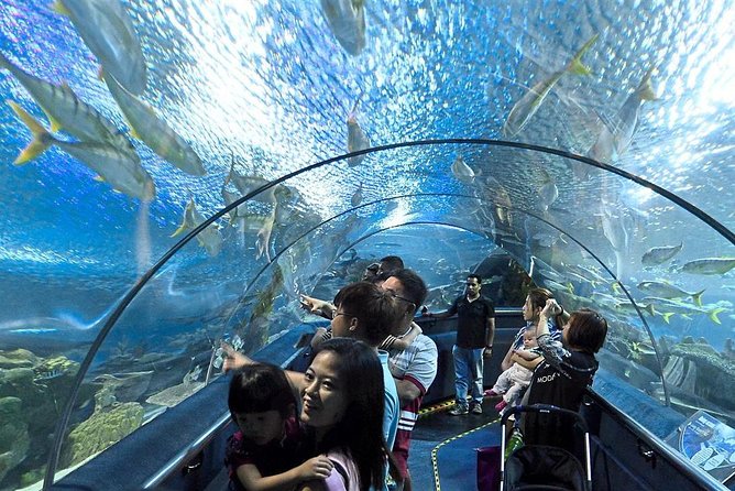 Aquaria KLCC Admission Ticket - Additional Programs Offered