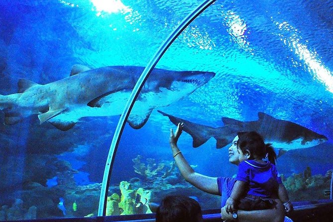 Aquaria KLCC Admission With Kuala Lumpur City Famous Landmarks - Good To Know