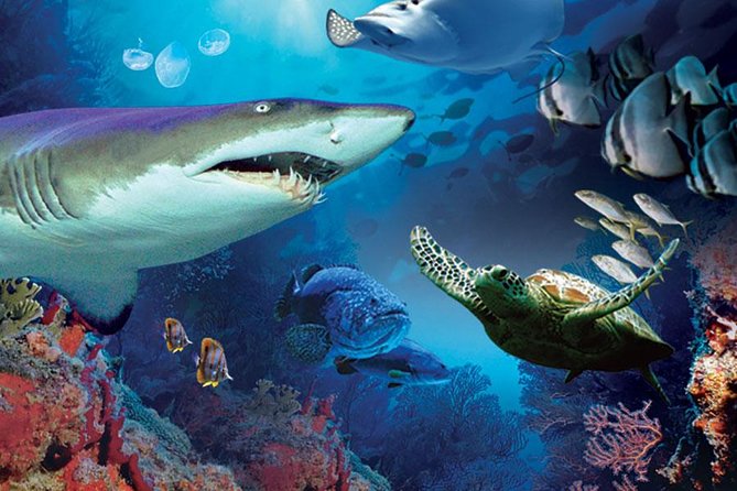 Aquaria KLCC Admission With Kuala Lumpur City Famous Landmarks - The Sum Up