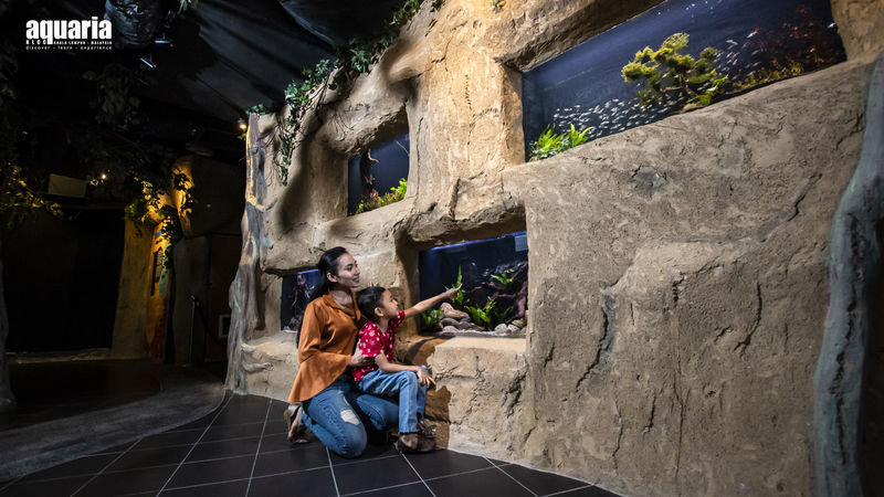 Aquaria KLCC Ticket - Save Time for the 90-Meter Tunnel