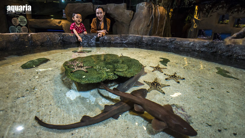 Aquaria KLCC Ticket - Check Feeding Times Before Arriving