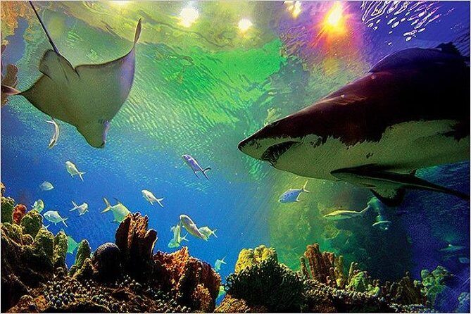 Aquaria KLCC Ticket - Good To Know