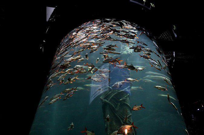 Aquaria KLCC Ticket - Who Will Love This Experience?