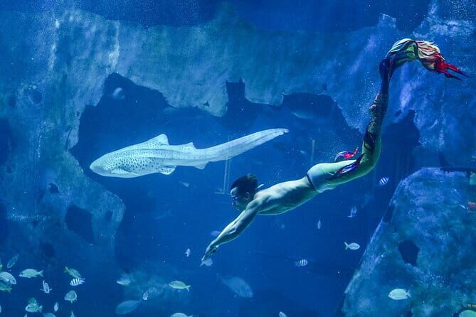 Aquaria Phuket and 4D Trickeye Museum Experience Ticket - The Sum Up