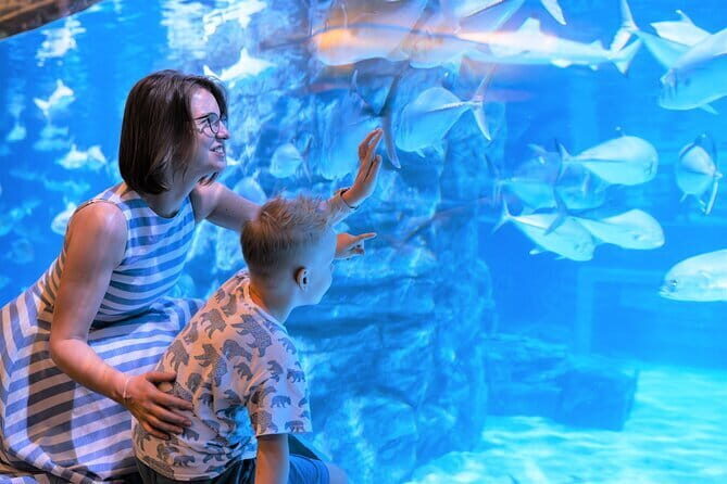 Aquaria Phuket and 4D Trickeye Museum Experience Ticket - Good To Know