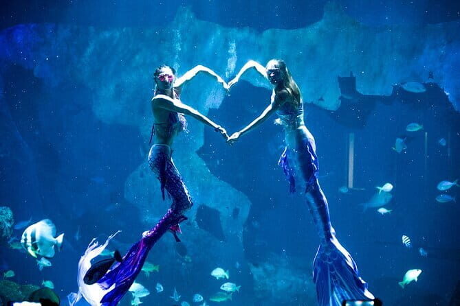 Aquaria Phuket and 4D Trickeye Museum Experience Ticket - A Closer Look at the Experience