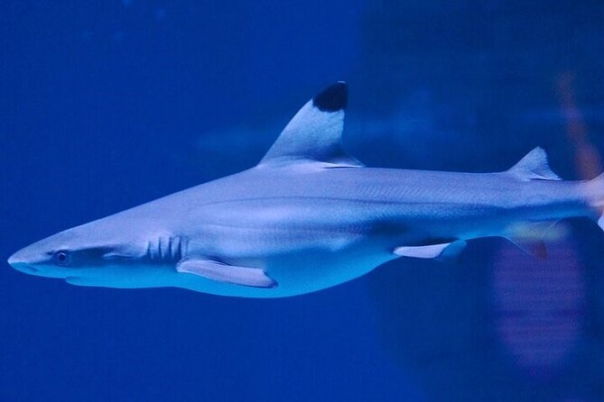 Aquaria Phuket - INTER MARKET - Cancellation Policy and Reviews