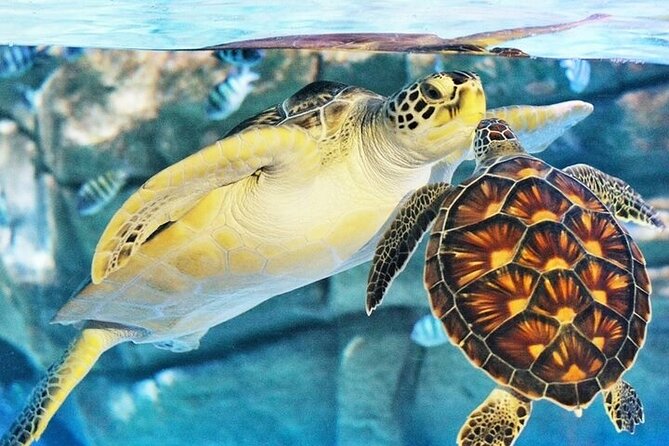 Aquaria Phuket - INTER MARKET - Contact and Assistance Information
