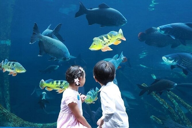 Aquaria Phuket - INTER MARKET - Directions for Visiting Aquaria Phuket