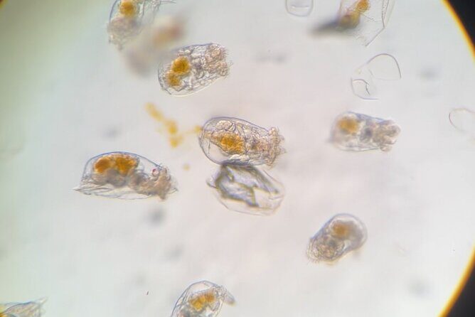 Aquarium Behind the Scenes at Sitka - Good To Know