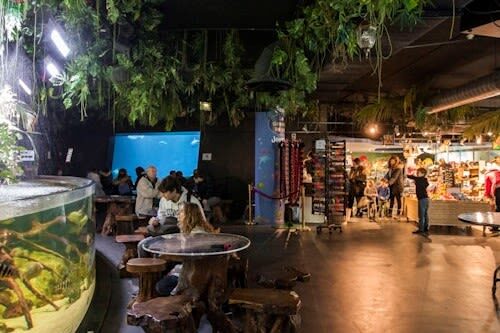 Aquarium de Paris Admission in Paris - A compact aquarium with a family-friendly pace