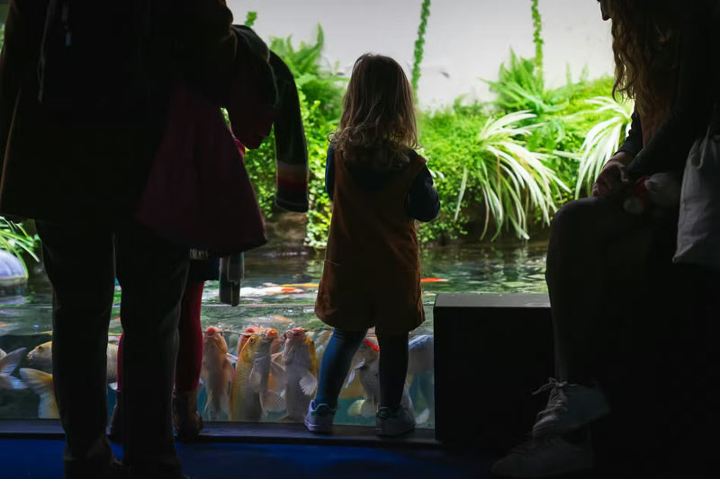 Aquarium de Paris Admission in Paris - How long to allow