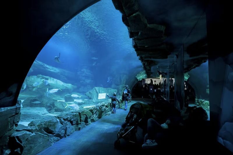 Aquarium de Paris Admission in Paris - Getting to the Trocadero address