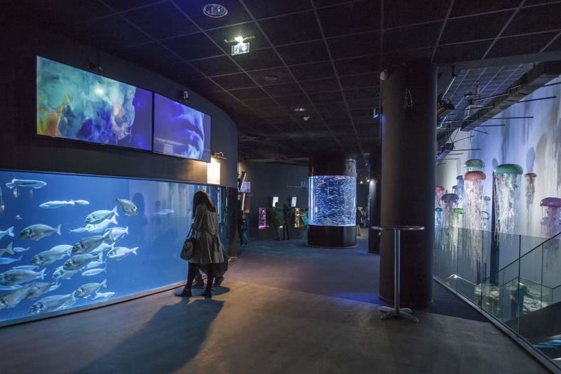 Aquarium de Paris Admission in Paris - Is admission worth the price?