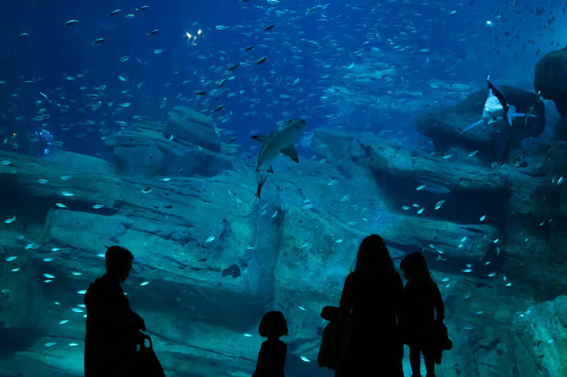 Aquarium de Paris Admission in Paris - Booking details that can save a headache
