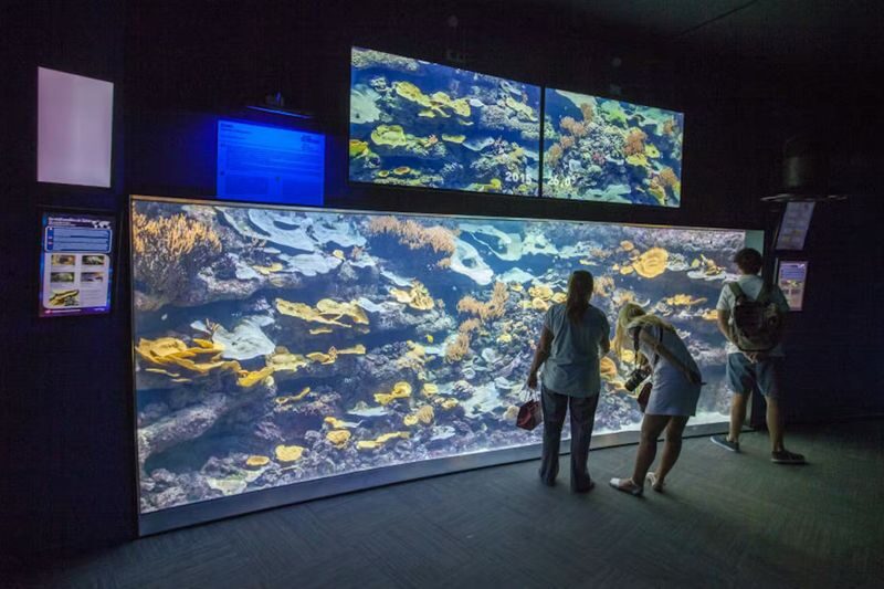 Aquarium de Paris Admission in Paris - Should you book Aquarium de Paris?