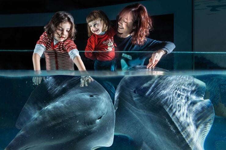Aquarium Di Cattolica Biglietto D'ingresso - Ticket Details
