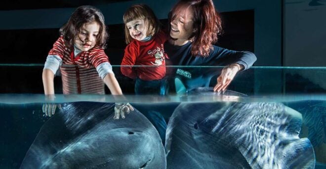 Aquarium Di Cattolica Biglietto D'ingresso - Full Description of the Experience