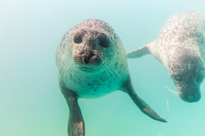 Aquarium Du Quebec: a Playground Overflowing With Life! - Location and Accessibility