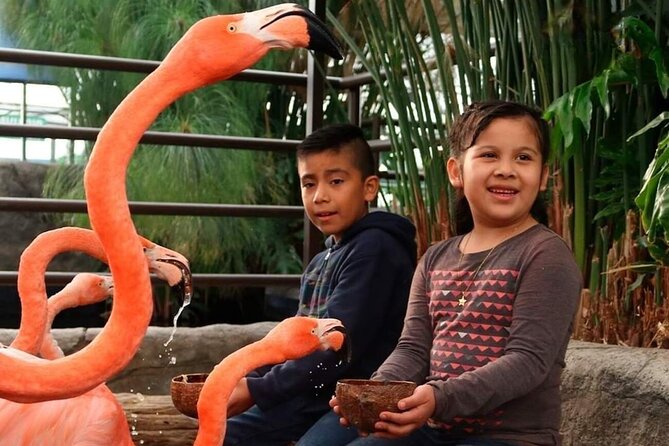 Aquarium Michin Puebla Ticket - Viators Trusted Ticket Provider