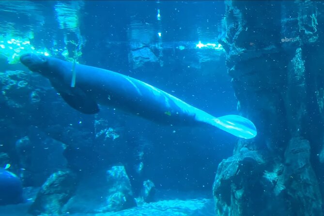 Aquarium of Genoa Reserved Entrance - Overall Rating and Reviews