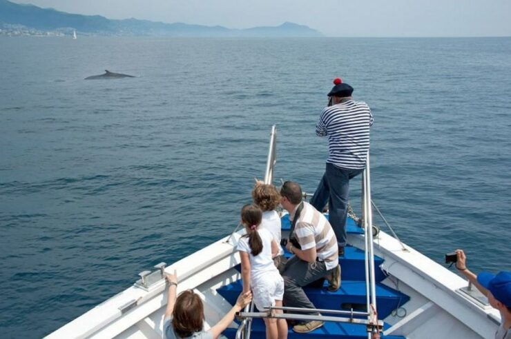 Aquarium of Genoa Ticket and Whale Watching Cruise - Activity Details