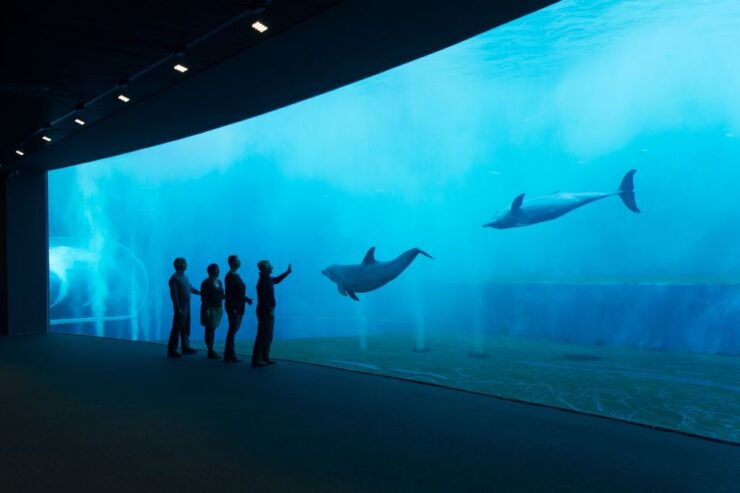 Aquarium of Genoa Ticket and Whale Watching Cruise - Excursion Description