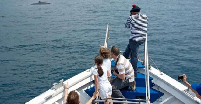 Aquarium of Genoa Ticket and Whale Watching Cruise - Important Information