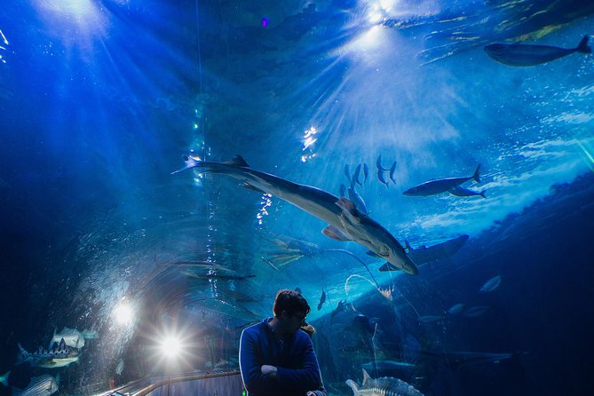 Aquarium of the Bay General Admission Ticket - Common Questions