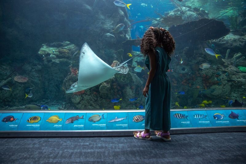 Aquarium of the Pacific Ticket in California - Aquarium of the Pacific at a glance
