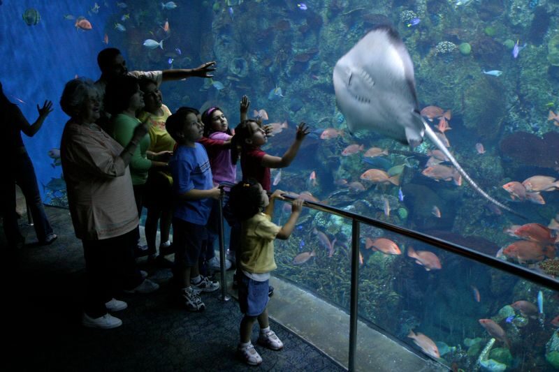 Aquarium of the Pacific Ticket in California - Three Pacific regions, one compact visit
